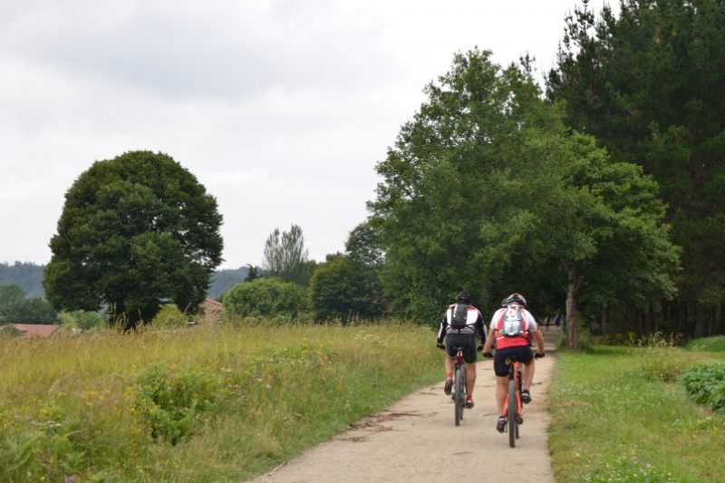 Camino Frances peregrinos bicicletas mochila concha paisaje arboles (2)