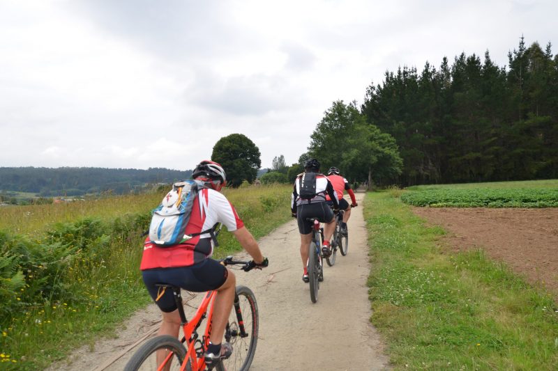Camino Frances peregrinos bicicletas mochila concha paisaje arboles